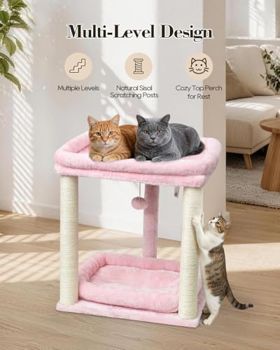 SYANDLVY Small Cat Tree for Indoor Cats