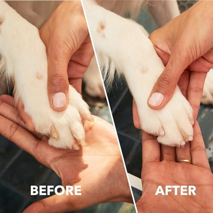 Dremel Pet Grooming Nail Guard Attachment