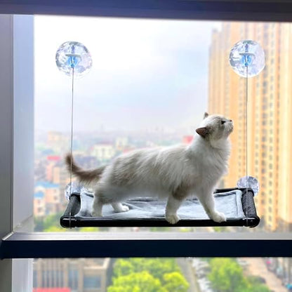 Cat Hammock for Window Wall
