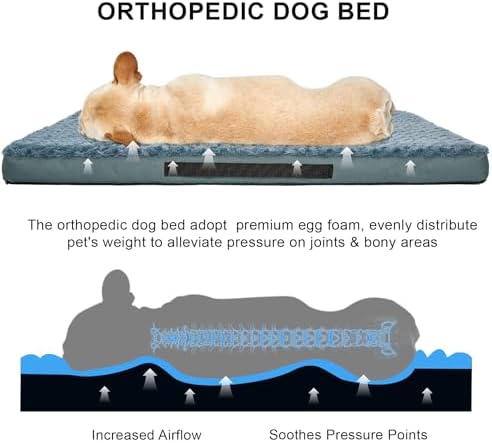 Orthopedic Dog Beds for Crate