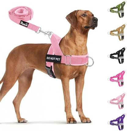 SlowTon No Pull Dog Harness and Leash Set