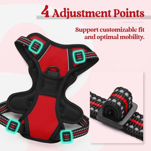 rabbitgoo Dog Harness, No Pull for Small Dogs