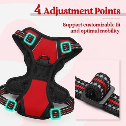 rabbitgoo Dog Harness, No Pull for Small Dogs