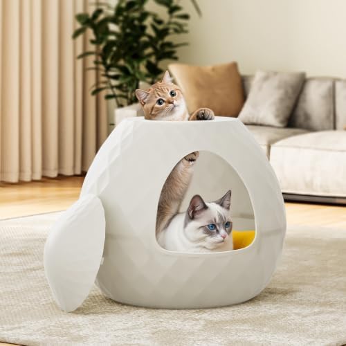 Hidden Enclosed Cat Litter Box