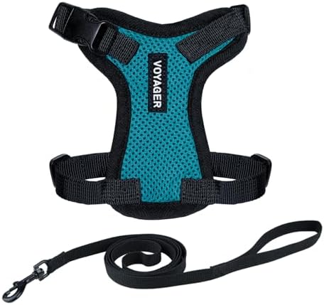Voyager Step-in Lock Cat Harness & Leash Set