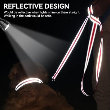Joytale Reflective Dog Leash for Medium & Large Dogs, 4 FT x 1"