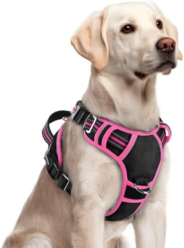 rabbitgoo Dog Harness for Large, No Pull 3 Buckles Easy On & Off