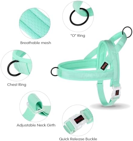 Didog No Pull Dog Harness with Breathable Mesh Padded, Quick Fit & Easy on Dog