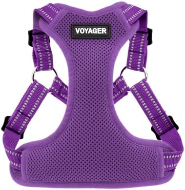 Voyager Step-in Flex Adjustable Dog Harness
