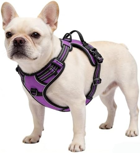 Purple No-Pull Dog Harness
