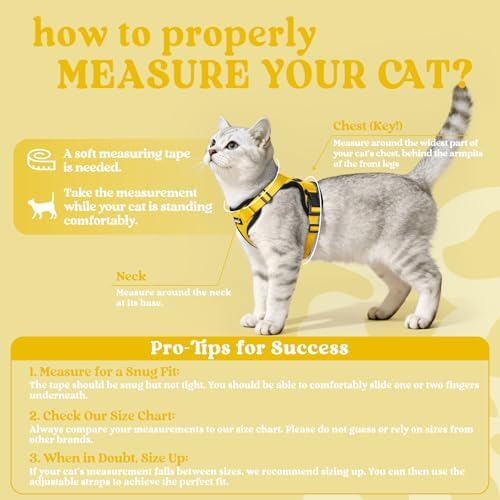 rabbitgoo Cat Harness and Leash Set, Escape Proof Vest