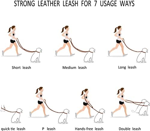 Guiding Star 8ft Leather Dog Leash