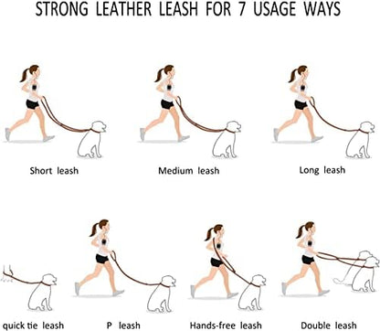 Guiding Star 8ft Leather Dog Leash