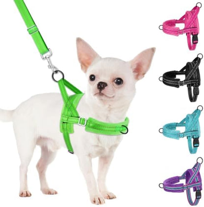 SlowTon No Pull Small Dog Harness and Leash Set