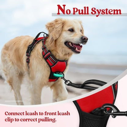 rabbitgoo Dog Harness, No Pull for Large Dogs