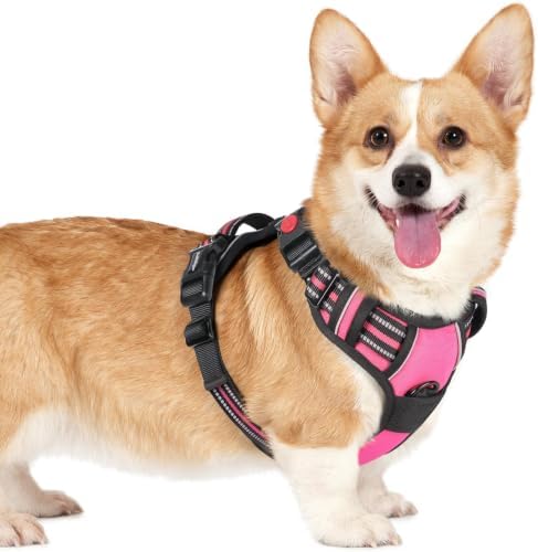 rabbitgoo Dog Harness Small Sized, Updated Easy On & Off