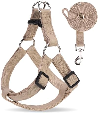 BINGPET No Pull Dog Harness and Leash Set, Adjustable Step-in Vest