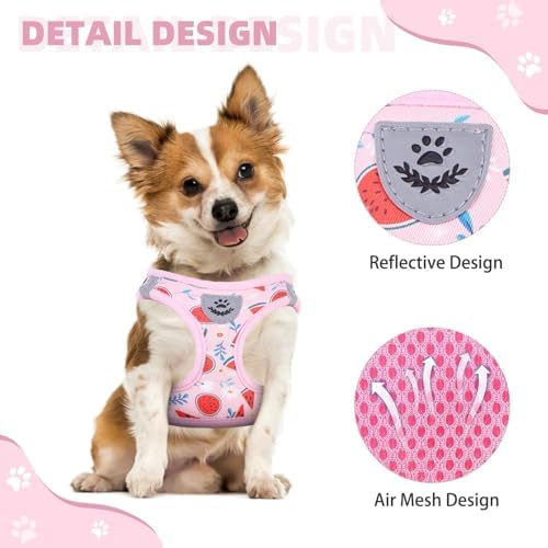 KOOLTAIL Dog Harness and Leash Set