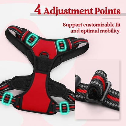 rabbitgoo Dog Harness, No Pull for Large Dogs
