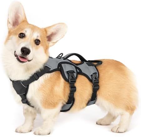 rabbitgoo Escape Proof Dog Harness