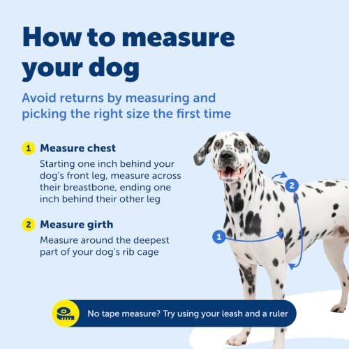 PetSafe Easy Walk Harness, No Pull Dog Harness, Medium/Large