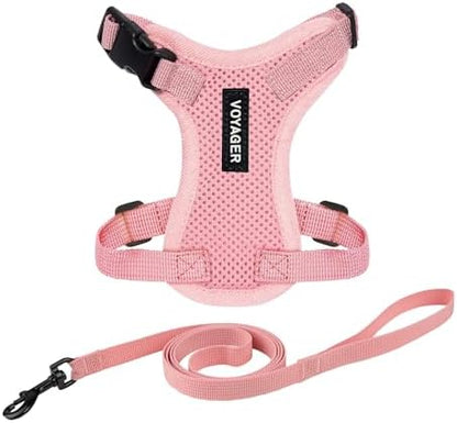 Voyager Step-in Lock Cat Harness & Leash Set