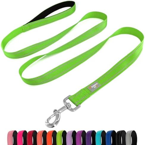 6 FT Basic Dog Leash for Large Dogs