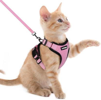 rabbitgoo Cat Harness and Leash Set, Escape Proof Vest