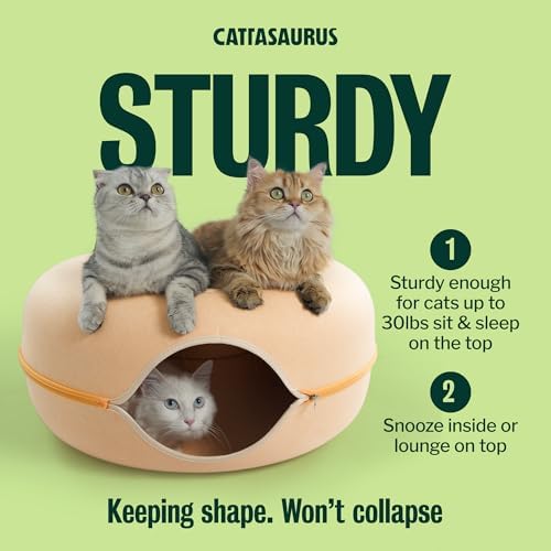 Cattasaurus Peekaboo Cat Cave Donut