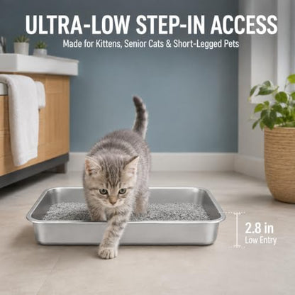 Small Stainless Steel Kitten Litter Box, Low Entry, 15.7 x 11.8 x 2.8 in