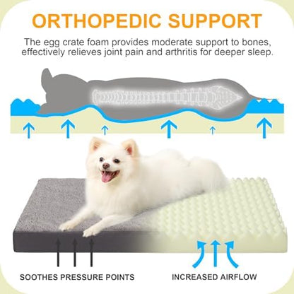 KSIIA Orthopedic Dog Bed for Small Dogs