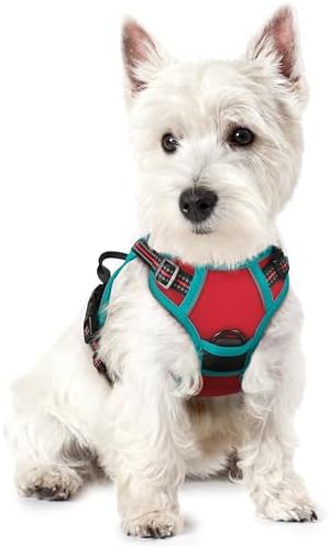 rabbitgoo Dog Harness, No Pull for Small Dogs