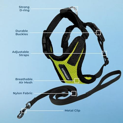 Voyager Step-in Lock Cat Harness & Leash Set