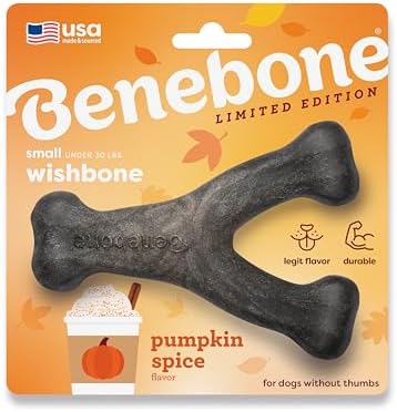 Benebone Wishbone Chew Toy for Aggressive Chewers, Pumpkin Spice