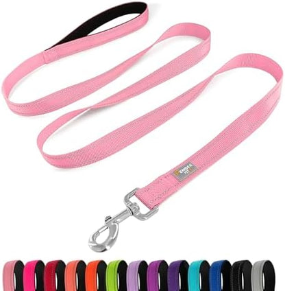 6 FT Basic Dog Leash for Large Dogs