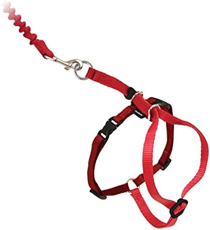 PetSafe Come With Me Kitty Harness and Bungee Leash, Harness
