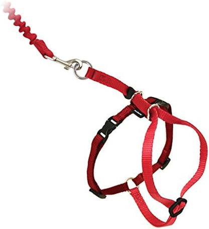 PetSafe Come With Me Kitty Harness and Bungee Leash, Harness