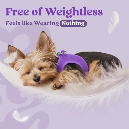 rabbitgoo Step-in Small Dog Harness, Puppy Vest