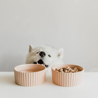 Waggo Ripple Ceramic Dog Bowl for Medium and Large Breeds - Modern with Matte Finish, Heavyweight Durable Pet Food and Water Dish Crock, Dishwasher Safe(Medium, Rose)