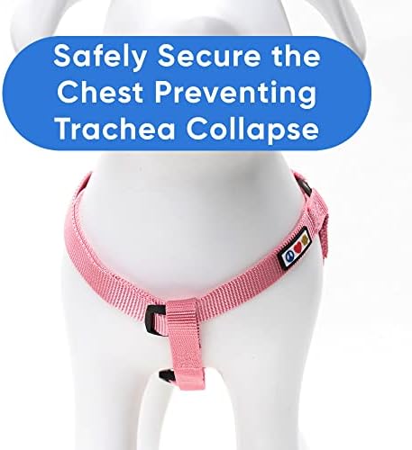 Pawtitas Solid Step-in Dog Harness – Adjustable No-Pull Vest