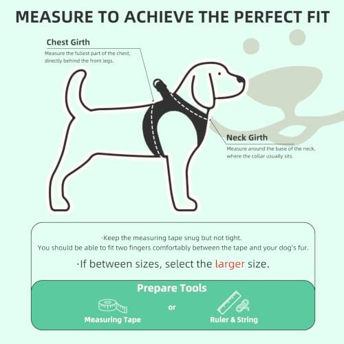 PUPTECK Dog Harness, Collar and Leash Set No Pull