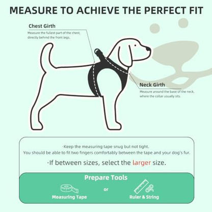 PUPTECK Dog Harness, Collar and Leash Set No Pull
