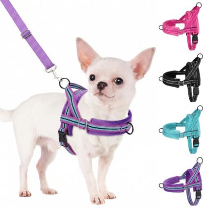 SlowTon No Pull Small Dog Harness and Leash Set