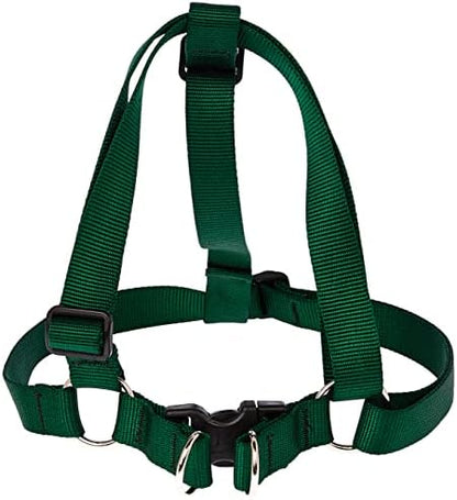 LupinePet Basics 1" Green 24-38" Step In Harness