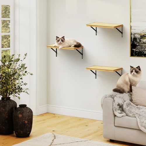 3Pcs 16.5"×10" Large Cat Wall Shelves