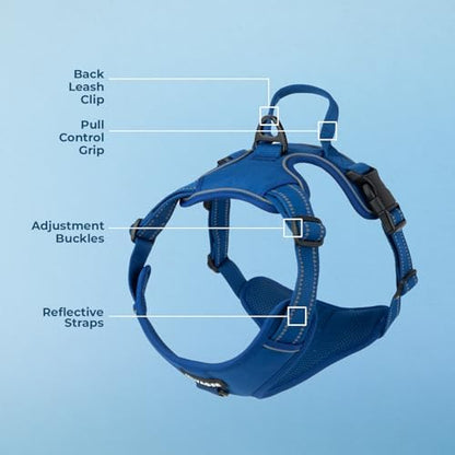 Voyager Dual Attachment No Pull Harness