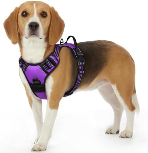 Eagloo Dog Harness for Small Dogs, No Pull Pet Vest