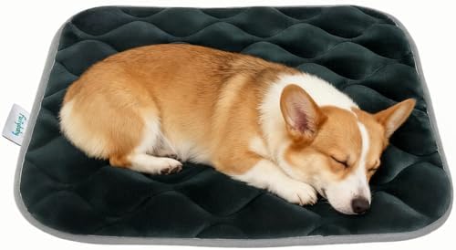 furrybaby Dog Bed Mat Crate Pad, Anti-Slip Bottom Machine Washable Pet Pad