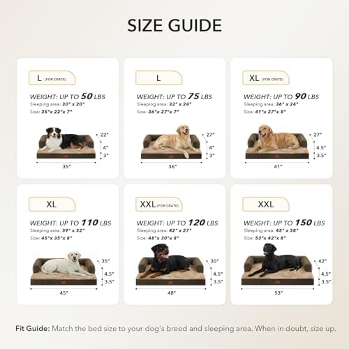 Orthopedic Washable Dog Bed for Medium Dogs