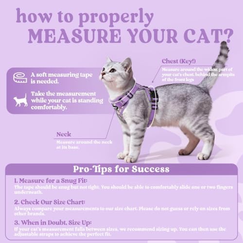 rabbitgoo Cat Harness and Leash Set, Escape Proof Vest, Purr-ple Daisy